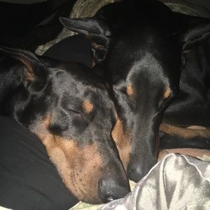 Meet your Posher, Heather